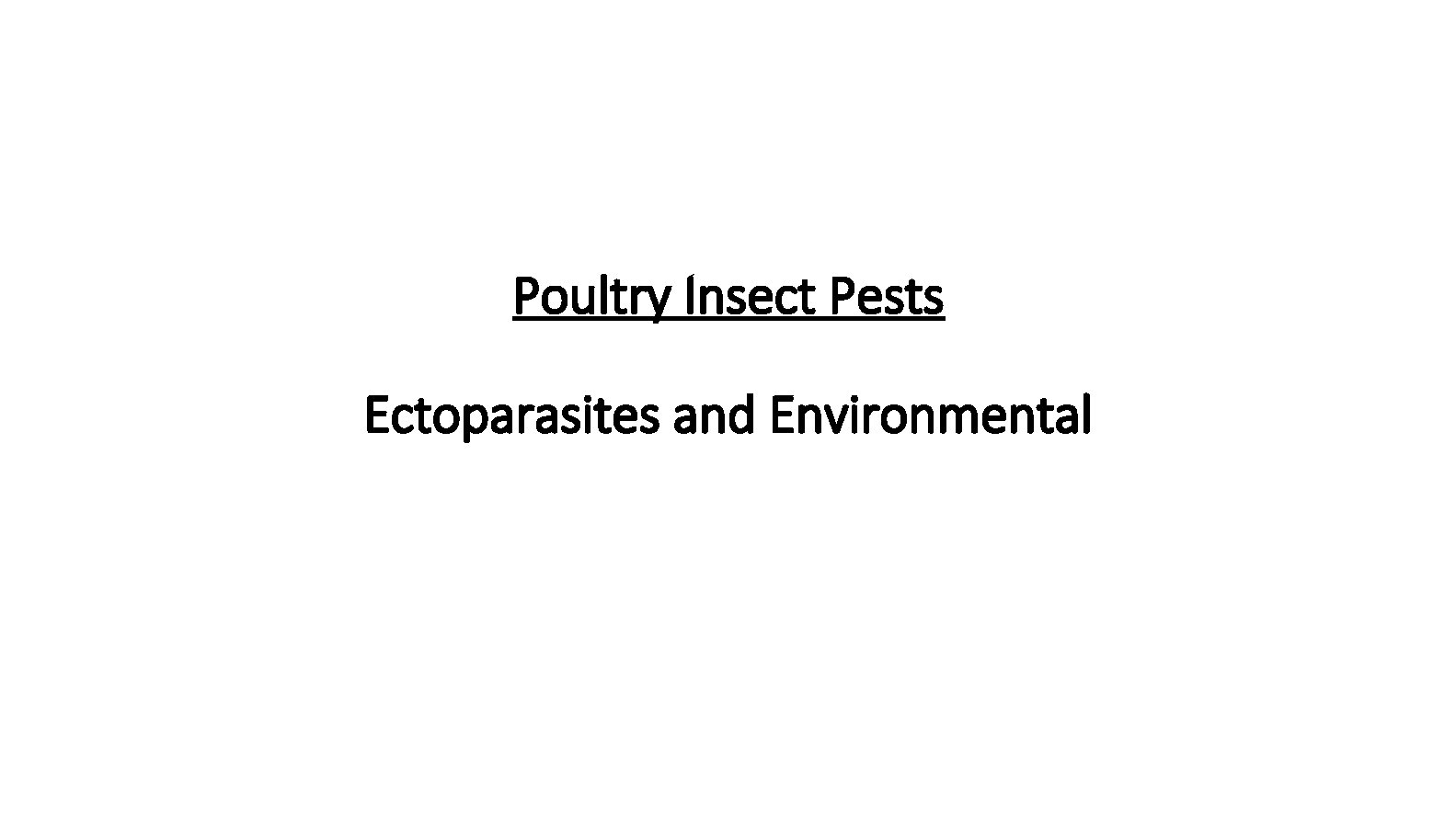 Poultry Insect Pests Ectoparasites and Environmental 