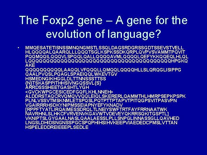 The Foxp 2 gene – A gene for the evolution of language? • MMQESATETISNSSMNQNGMSTLSSQLDAGSRDGRSSGDTSSEVSTVELL