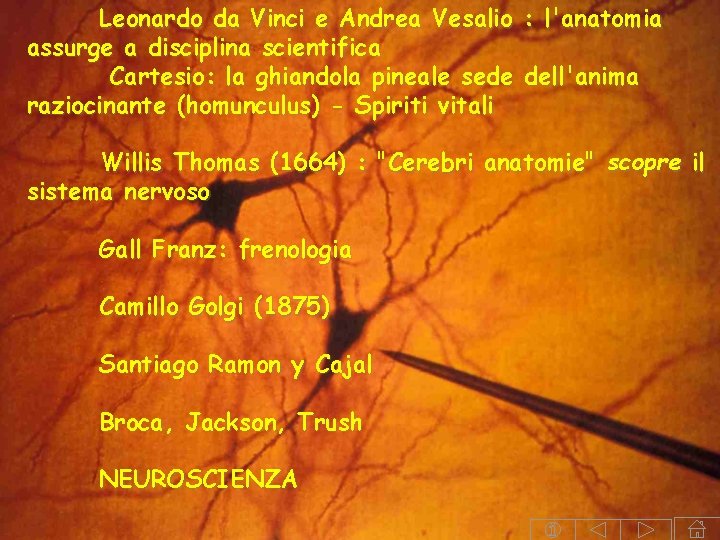 Leonardo da Vinci e Andrea Vesalio : l'anatomia assurge a disciplina scientifica Cartesio: la