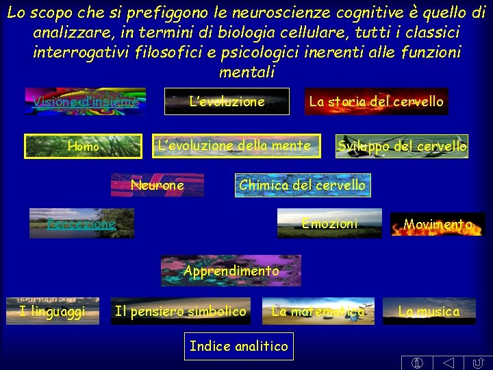 Lo scopo che si prefiggono le neuroscienze cognitive è quello di analizzare, in termini