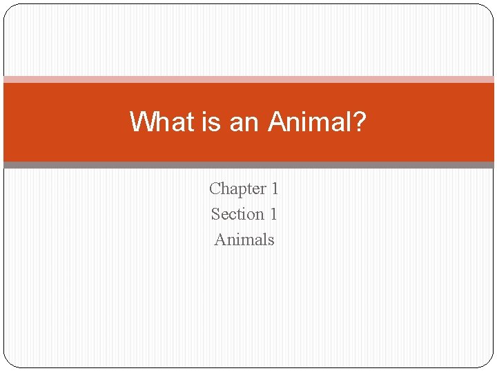 What is an Animal Chapter 1 Section 1