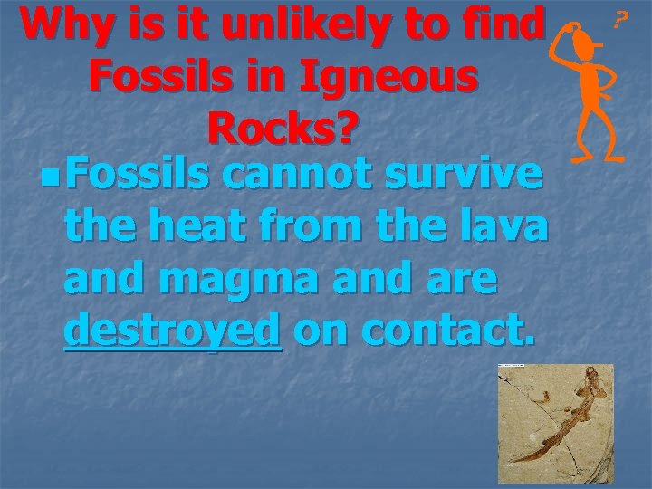 Why is it unlikely to find Fossils in Igneous Rocks? n Fossils cannot survive