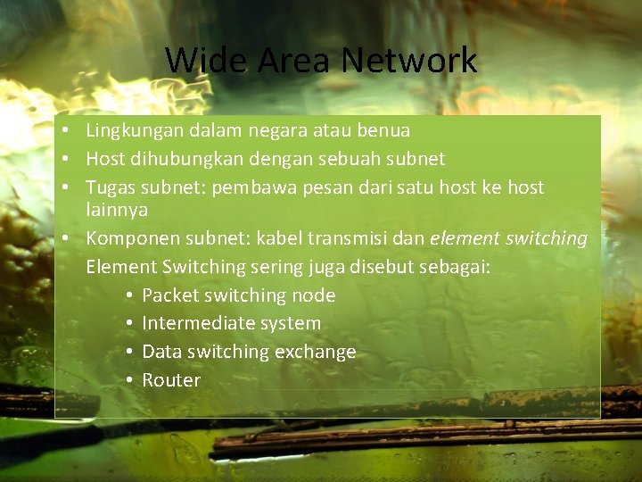 Wide Area Network • Lingkungan dalam negara atau benua • Host dihubungkan dengan sebuah