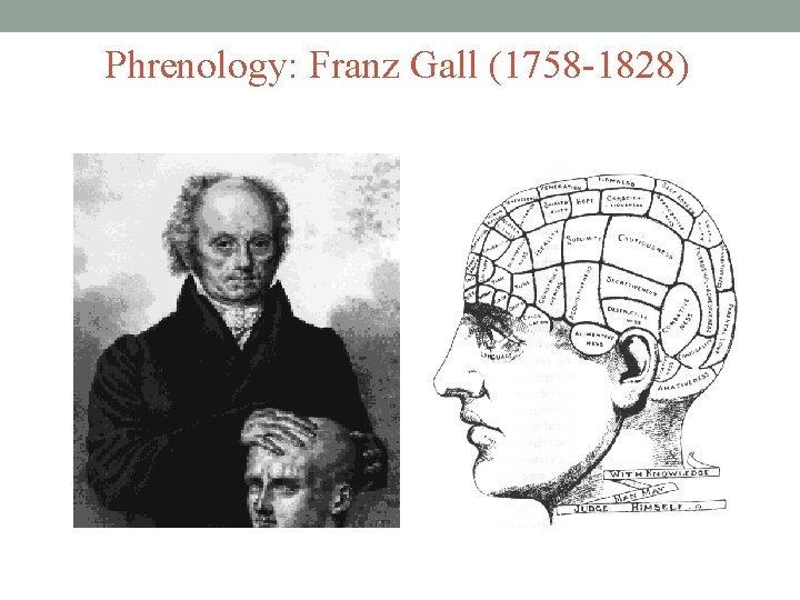 Phrenology: Franz Gall (1758 -1828) 