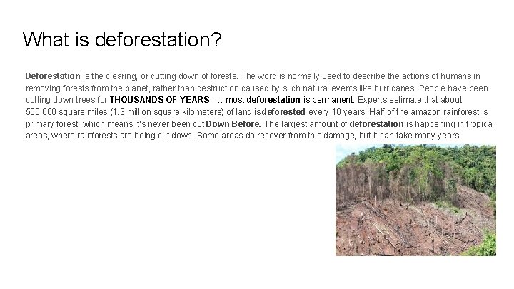 What is deforestation? Deforestation is the clearing, or cutting down of forests. The word