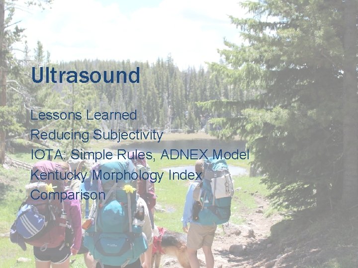 Ultrasound Lessons Learned Reducing Subjectivity IOTA: Simple Rules, ADNEX Model Kentucky Morphology Index Comparison Ultrasound Lessons Learned Reducing Subjectivity IOTA: Simple Rules, ADNEX Model Kentucky Morphology Index Comparison