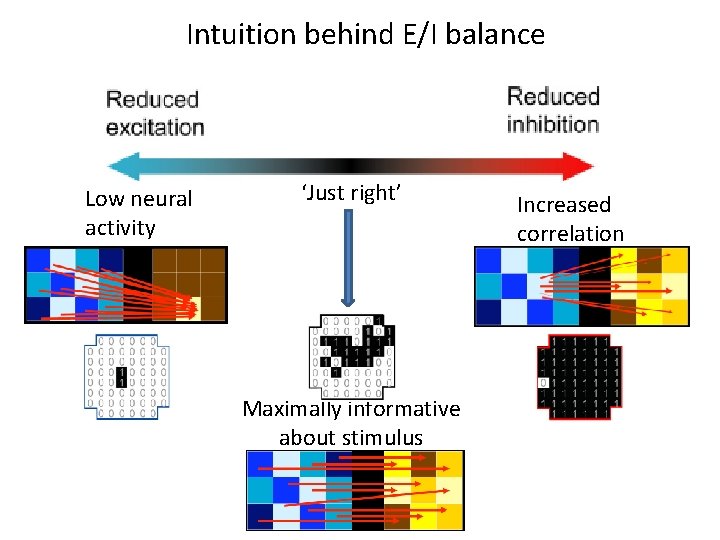Information Capacity and Transmission are Maximized in Balanced