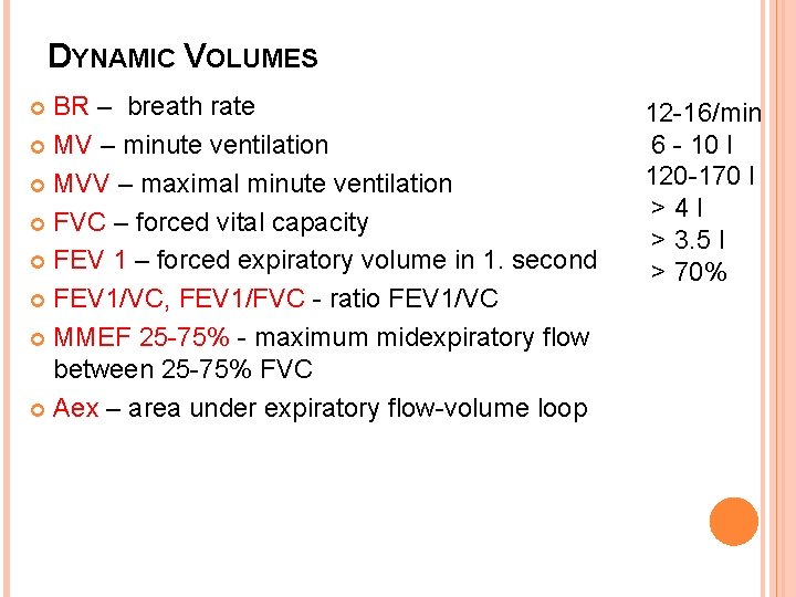 DYNAMIC VOLUMES BR – breath rate MV – minute ventilation MVV – maximal minute