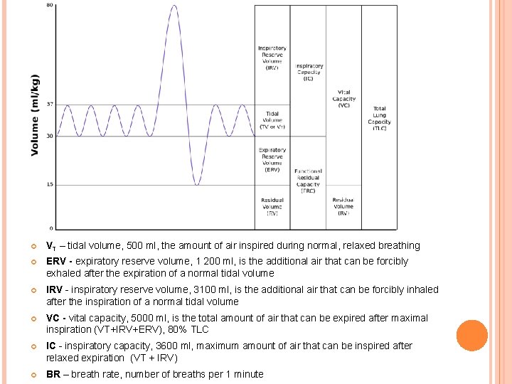  VT – tidal volume, 500 ml, the amount of air inspired during normal,