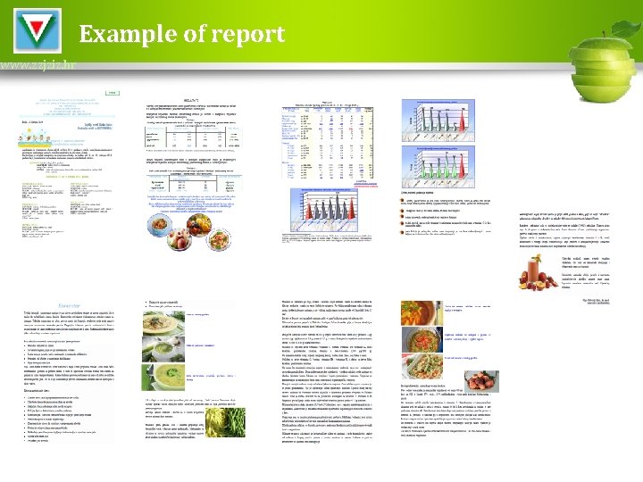 www. zzjziz. hr Example of report 