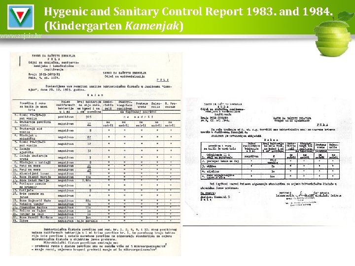 www. zzjziz. hr Hygenic and Sanitary Control Report 1983. and 1984. (Kindergarten Kamenjak) 