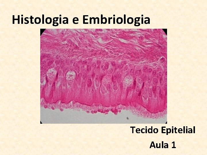 Histologia e Embriologia Tecido Epitelial Aula 1 
