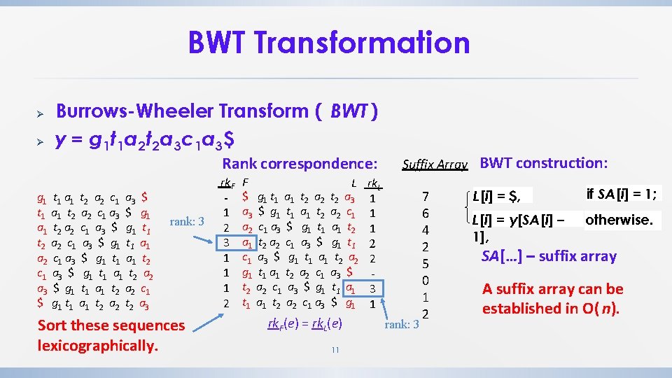 BWT Transformation Ø Ø Burrows-Wheeler Transform ( BWT ) y = g 1 t BWT Transformation Ø Ø Burrows-Wheeler Transform ( BWT ) y = g 1 t