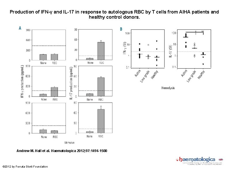 Production of IFN-γ and IL-17 in response to autologous RBC by T cells from