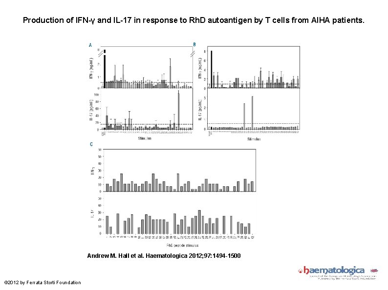 Production of IFN-γ and IL-17 in response to Rh. D autoantigen by T cells