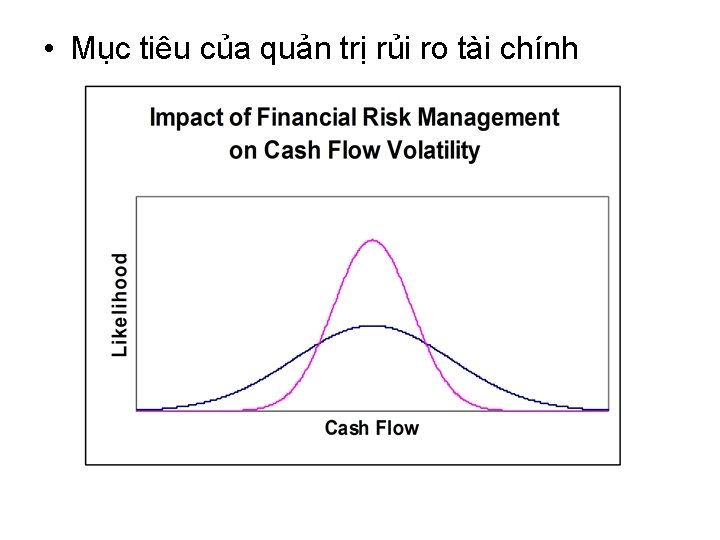  • Mục tiêu của quản trị rủi ro tài chính 