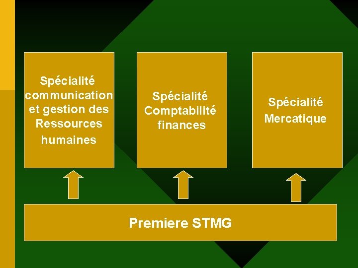 Spécialité communication et gestion des Ressources humaines Spécialité Comptabilité finances Premiere STMG Spécialité Mercatique