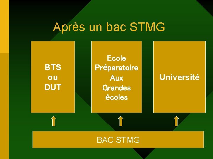 Après un bac STMG BTS ou DUT Ecole Préparatoire Aux Grandes écoles BAC STMG