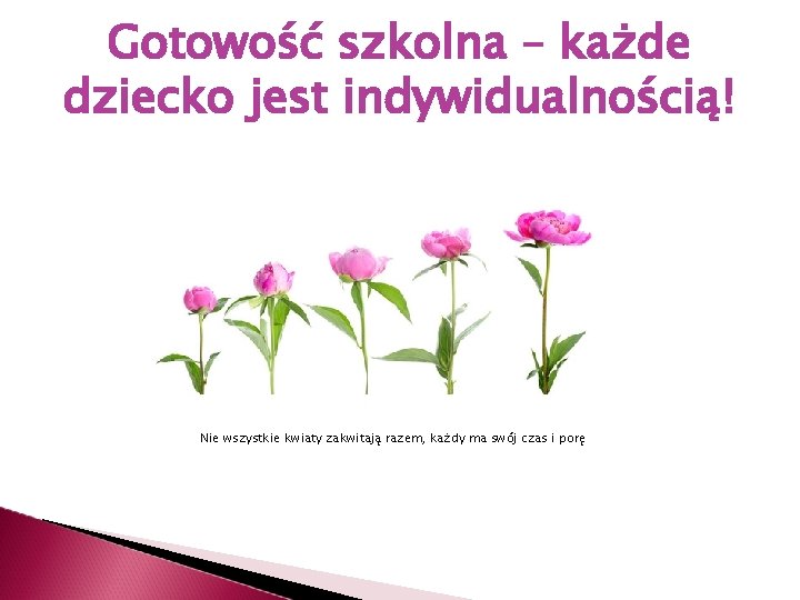 Gotowość szkolna – każde dziecko jest indywidualnością! Nie wszystkie kwiaty zakwitają razem, każdy ma