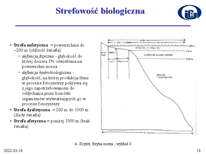 Strefowość biologiczna • Strefa eufotyczna = powierzchnia do ~200 m (obfitość światła) − definicja