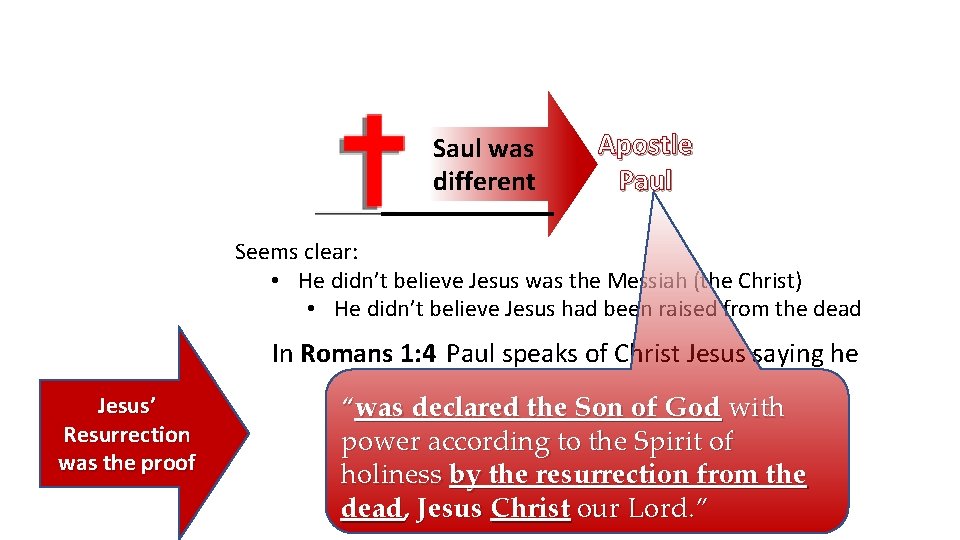Saul was different Apostle Paul Seems clear: • He didn’t believe Jesus was the