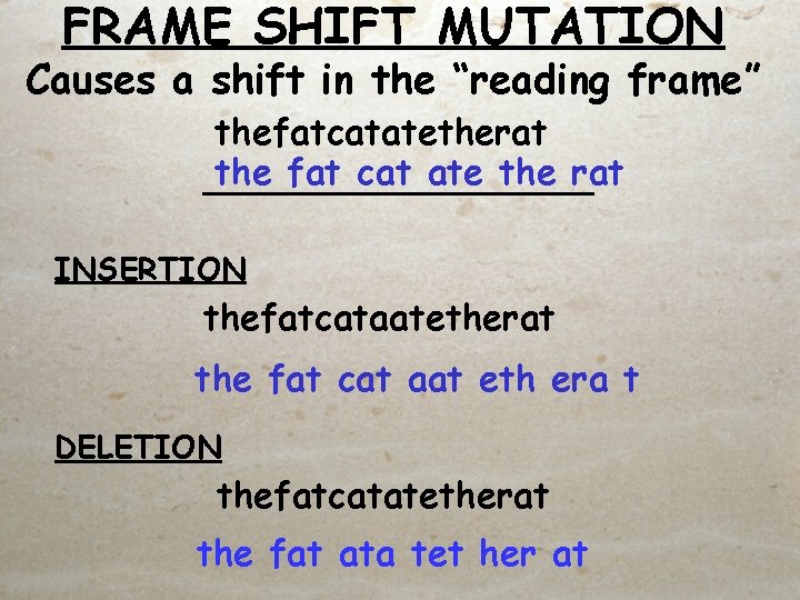 FRAME SHIFT MUTATION Causes a shift in the “reading frame” thefatcatatetherat the fat cat