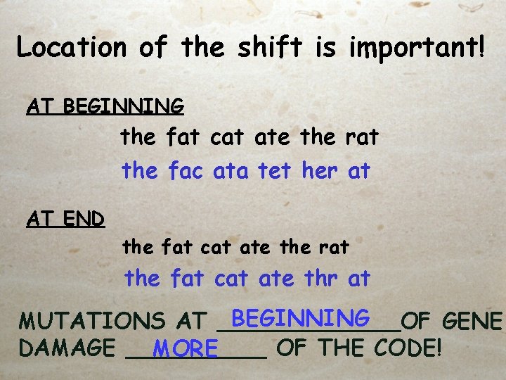 Location of the shift is important! AT BEGINNING the fat cat ate the rat