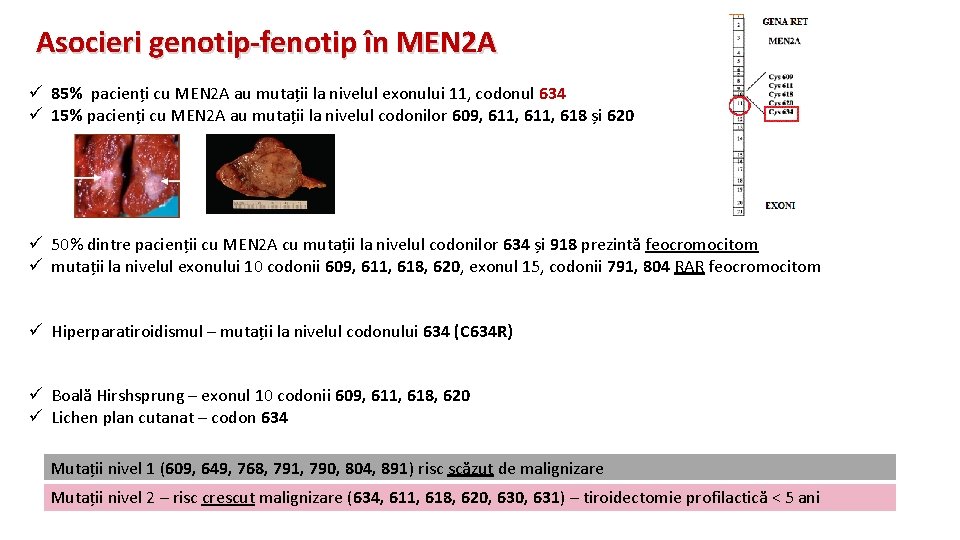 Asocieri genotip-fenotip în MEN 2 A ü 85% pacienți cu MEN 2 A au