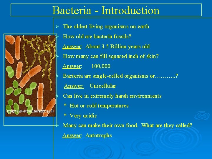 Bacteria - Introduction Ø The oldest living organisms on earth Ø How old are Bacteria - Introduction Ø The oldest living organisms on earth Ø How old are