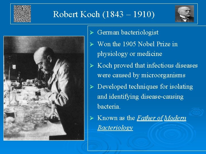 Robert Koch (1843 – 1910) Ø German bacteriologist Ø Won the 1905 Nobel Prize Robert Koch (1843 – 1910) Ø German bacteriologist Ø Won the 1905 Nobel Prize