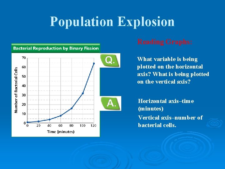 Population Explosion Reading Graphs: What variable is being plotted on the horizontal axis? What Population Explosion Reading Graphs: What variable is being plotted on the horizontal axis? What