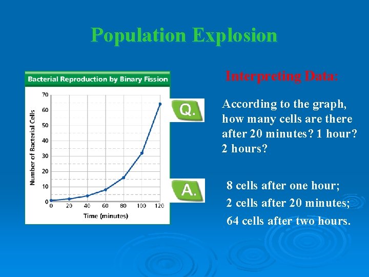 Population Explosion Interpreting Data: According to the graph, how many cells are there after Population Explosion Interpreting Data: According to the graph, how many cells are there after