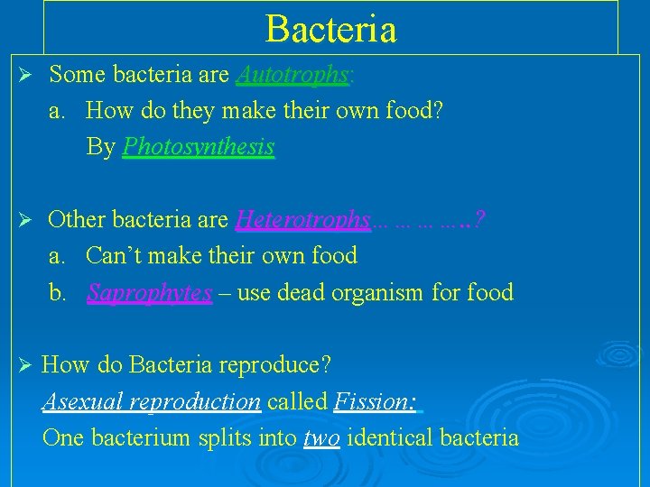 Bacteria Ø Some bacteria are Autotrophs: a. How do they make their own food? Bacteria Ø Some bacteria are Autotrophs: a. How do they make their own food?