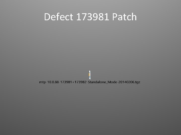 Defect 173981 Patch 