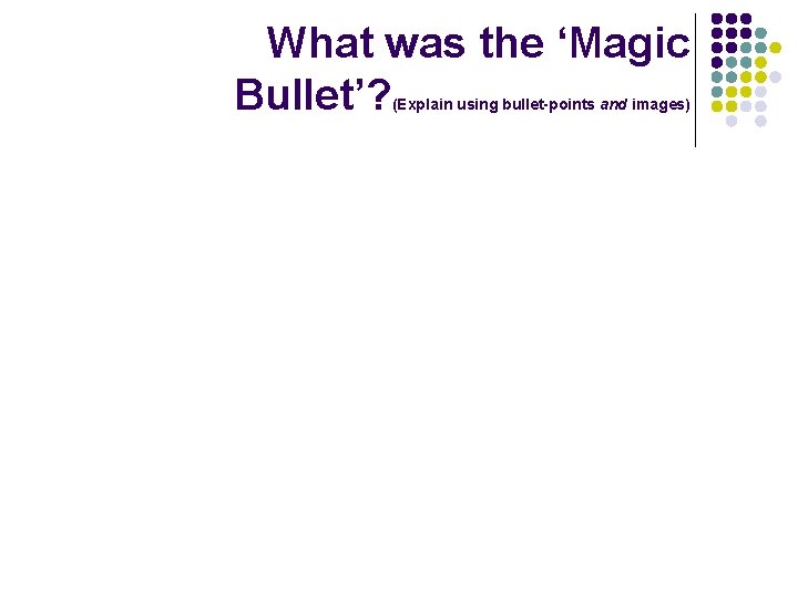 What was the ‘Magic Bullet’? (Explain using bullet-points and images) 