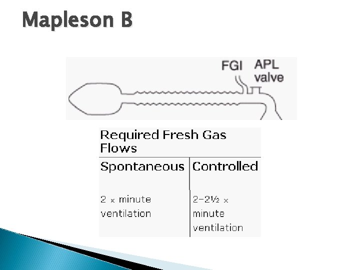 Mapleson B 