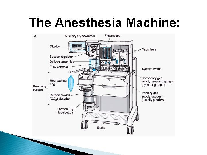The Anesthesia Machine: 