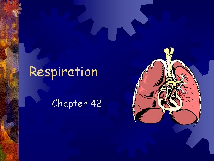 Respiration Chapter 42 