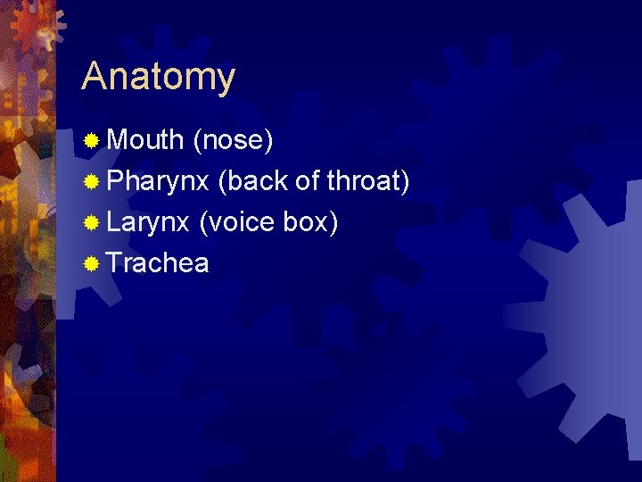 Anatomy ® Mouth (nose) ® Pharynx (back of throat) ® Larynx (voice box) ®