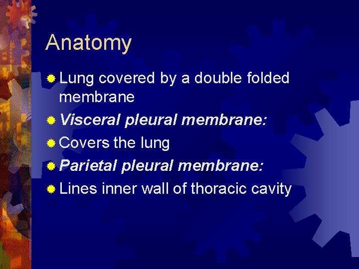 Anatomy ® Lung covered by a double folded membrane ® Visceral pleural membrane: ®