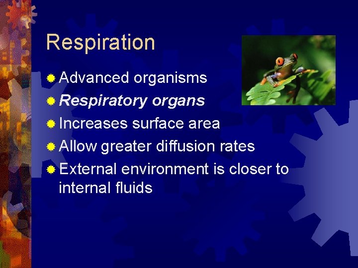 Respiration ® Advanced organisms ® Respiratory organs ® Increases surface area ® Allow greater