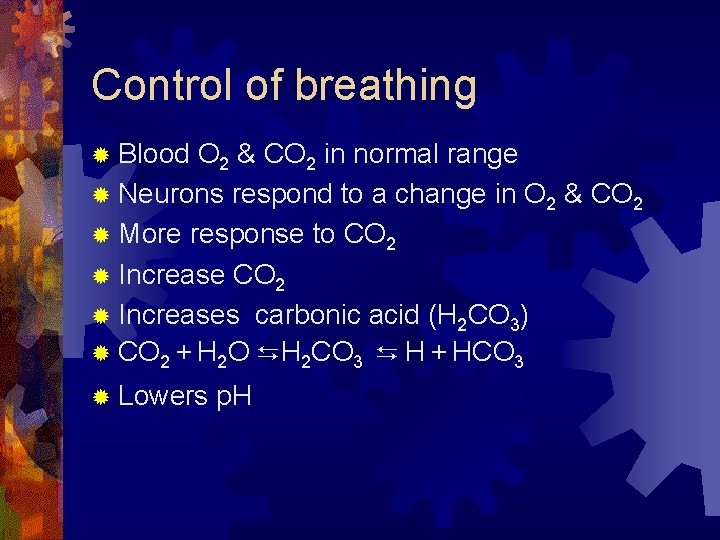 Control of breathing ® Blood O 2 & CO 2 in normal range ®