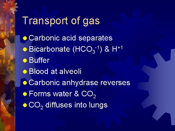 Transport of gas ® Carbonic acid separates ® Bicarbonate (HCO 3 -1) & H+1
