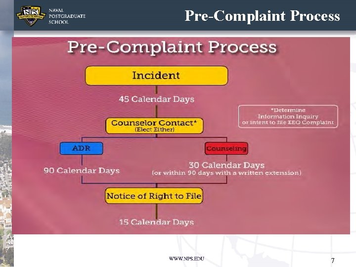 Pre-Complaint Process 7 