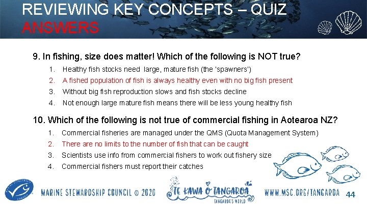 REVIEWING KEY CONCEPTS – QUIZ ANSWERS 9. In fishing, size does matter! Which of