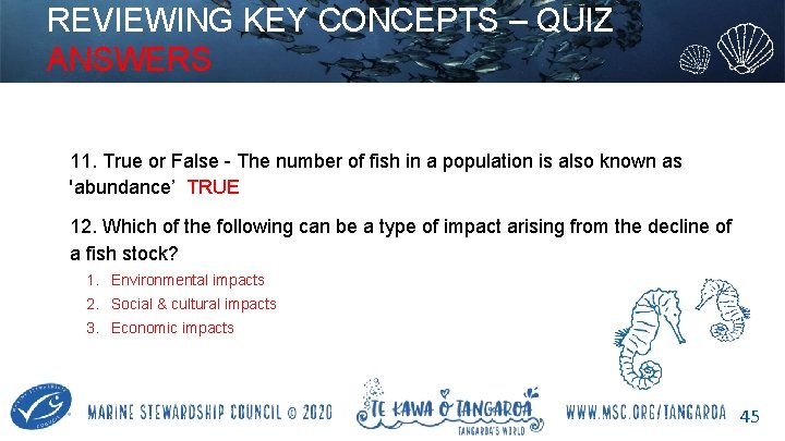 REVIEWING KEY CONCEPTS – QUIZ ANSWERS 11. True or False - The number of