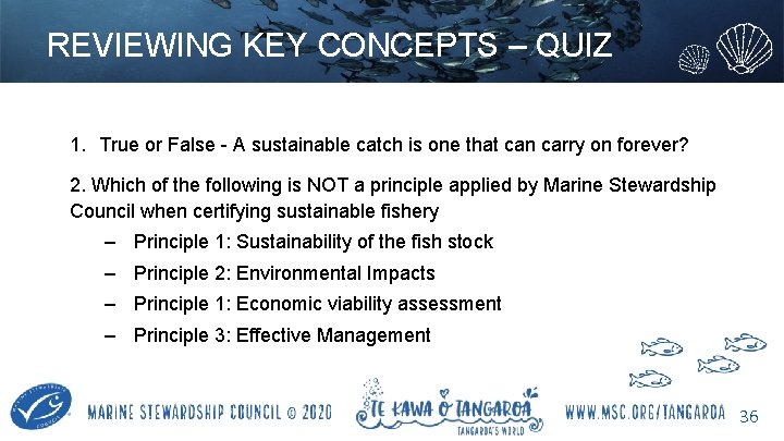 REVIEWING KEY CONCEPTS – QUIZ 1. True or False - A sustainable catch is