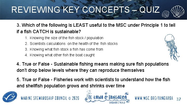 REVIEWING KEY CONCEPTS – QUIZ 3. Which of the following is LEAST useful to