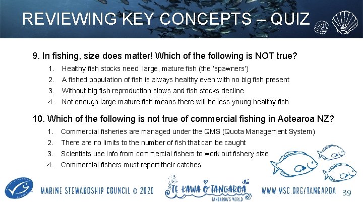 REVIEWING KEY CONCEPTS – QUIZ 9. In fishing, size does matter! Which of the
