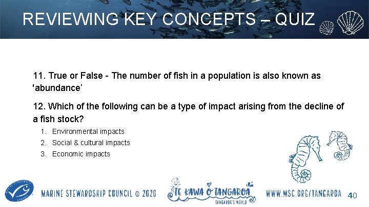 REVIEWING KEY CONCEPTS – QUIZ 11. True or False - The number of fish